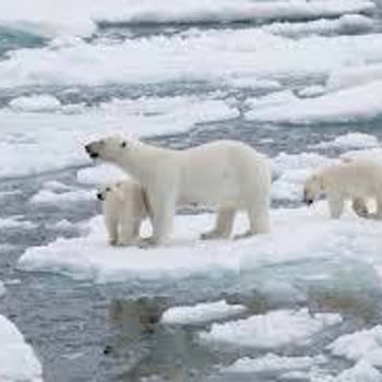 Emekli Müşterilere Yüksek Aidat Şoku: Hattuşa Termal'de Mağduriyet