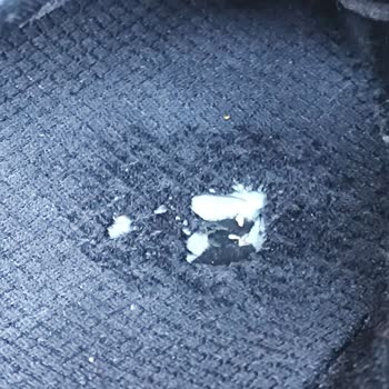 Skechers Refused to Replace My Defective Shoes Despite Clear Manufacturing Flaws