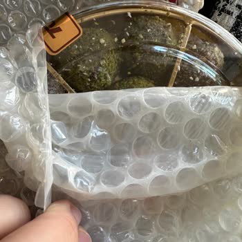 Yanlış Ürün Ve Zorunlu Üyelikle Karşılaşma