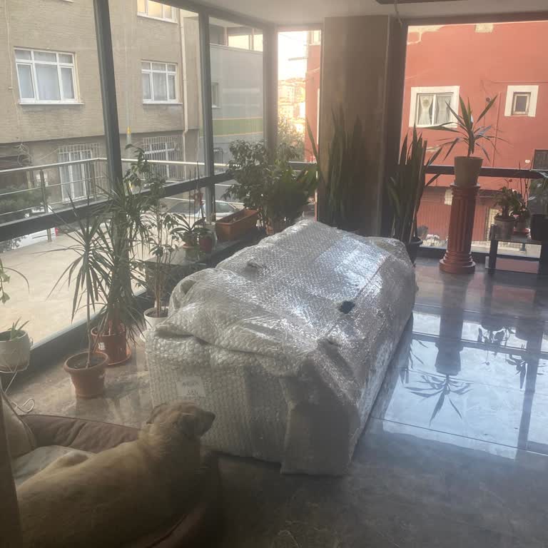 Vivense Koltuk Teslimatında Yaşanan Sorunlar