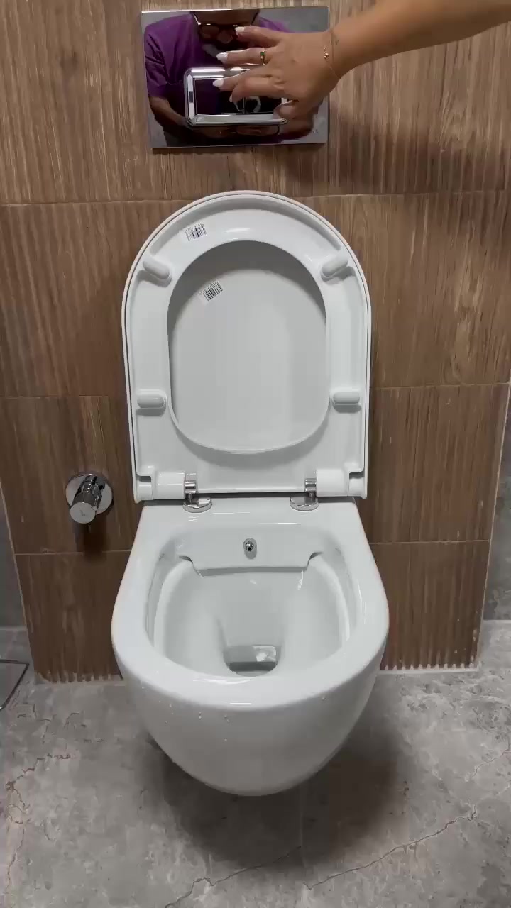 Vitra Wall-Hung Toilet Replacement Delayed for 3 Months video cover