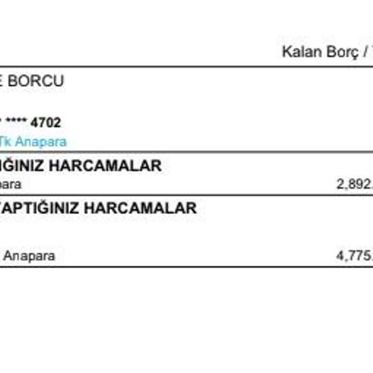 Denizbank Bonus Kart İptali Sonrası Ekstre Ve İade Sorunları