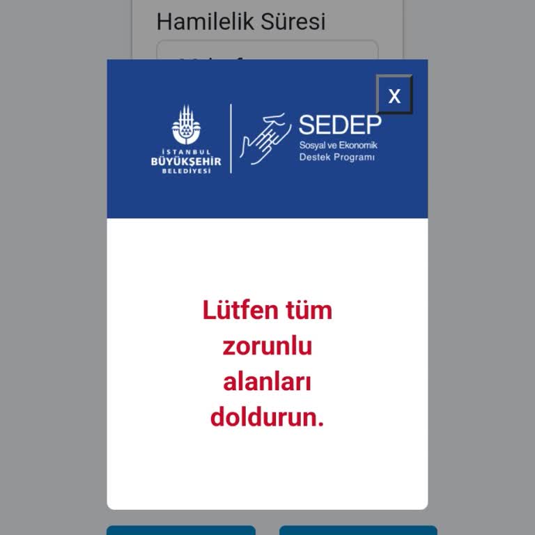 Başvuru Sürecinde Karşılaşılan Sorunlar
