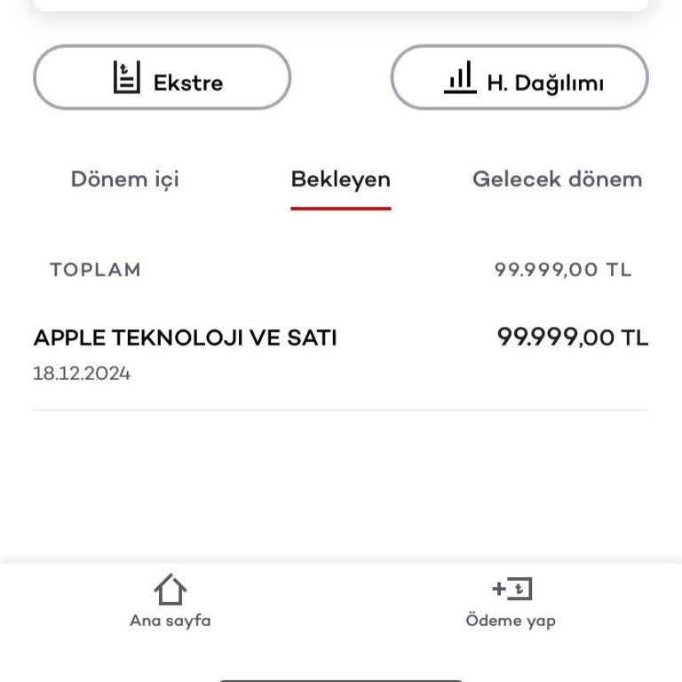 Akbank'ta Güvenlik Açığı Ve Müşteri Hizmetleri Sorunu
