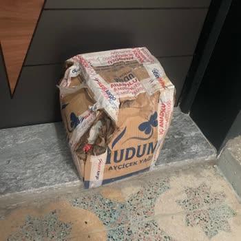 Sürat Kargo İle Hayal Kırıklığı: Dağınık Ve Güvensiz Teslimat
