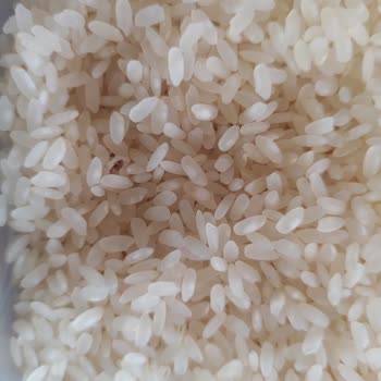 Osmancık Pirinçte Kalite Sorunları