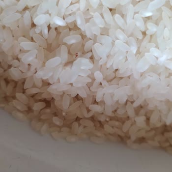 Osmancık Pirinçte Kalite Sorunları