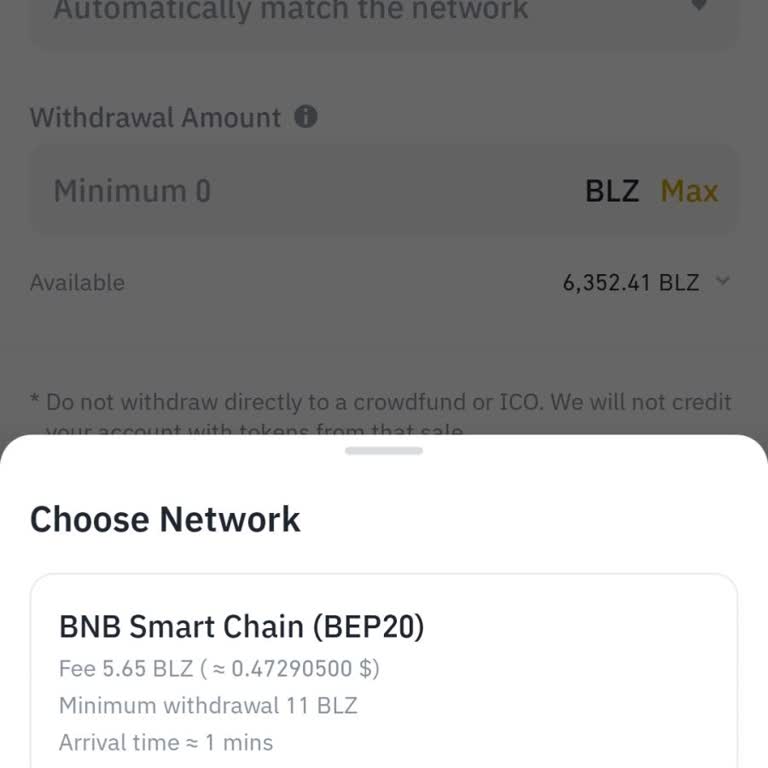 Blz Coin Transfer Sorunu Ve Çözüm Beklentisi