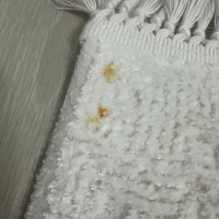 Halı Temizleme Hizmetinde Küf Sorunu