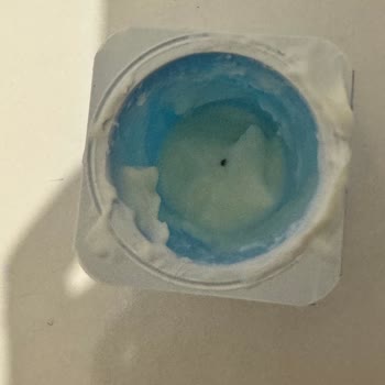 Bebek Yoğurdunda Böcek Şoku: Güven Sarsıldı