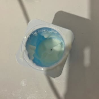 Bebek Yoğurdunda Böcek Şoku: Güven Sarsıldı