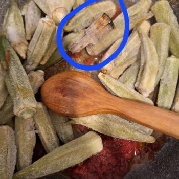 Dondurulmuş Bamya Paketinde Tahta Parçası Şoku