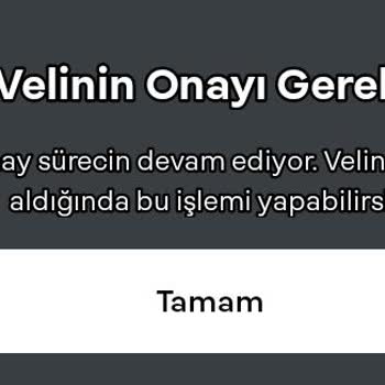 Papara Hesap Onayı Sorunu Ve Veli Onayı Beklentisi