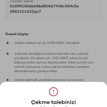 Paribu'da Dolar İşlemleri Sorunu