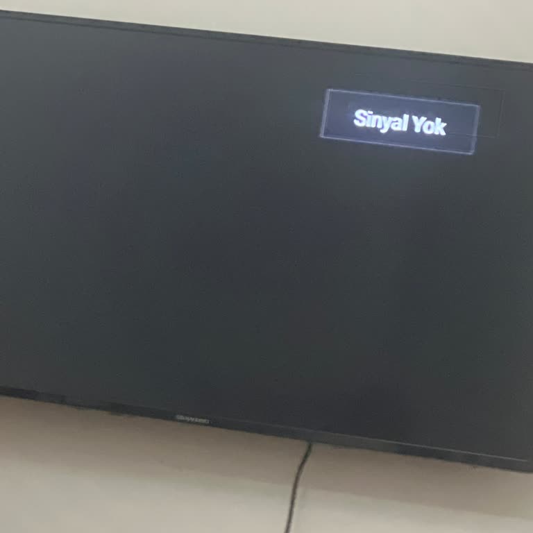 Skytech Webos TV Kanal Kurulumu Ve Uydu Sorunları