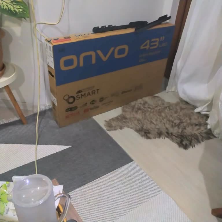 TV Servis Randevusu ve Müşteri Mağduriyeti