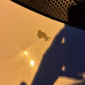 Şahmat Oto Bakım Merkezi Aracımın Boyası Soyuldu, Yetkililer Çözüm Sunmadı!