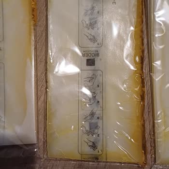 Bioder Bantları: Hayal Kırıklığı Ve Ziyan Olan Para