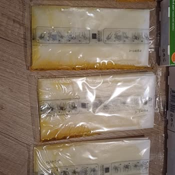 Bioder Bantları: Hayal Kırıklığı Ve Ziyan Olan Para