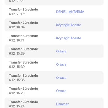 Kargo Teslimatında Yaşanan Gecikme Ve Sorunlar