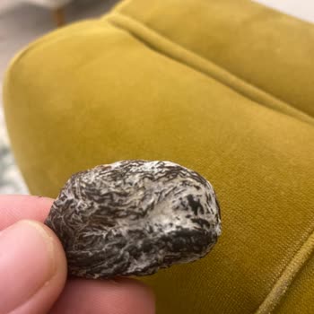 Küflenmiş Kayısı Şoku: Otto Markasına Güven Sarsıldı