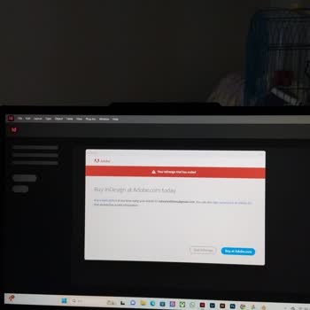 Adobe Creative Cloud Lisans Sorunu Ve İade Talebi
