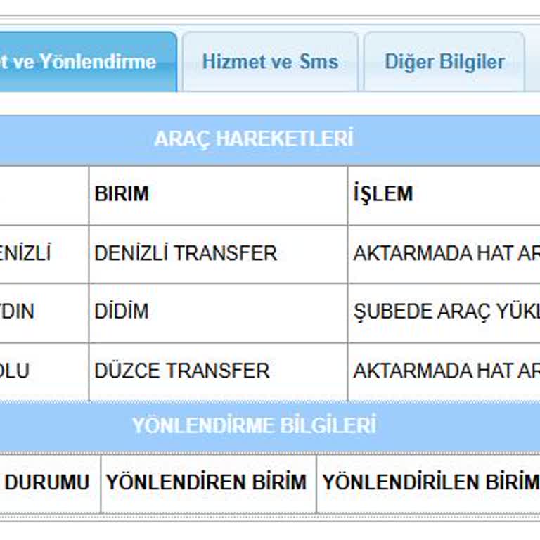 Kayıp Kargonun İz Sürülmesi: Aras Kargo'nun Teslimat Sorunu