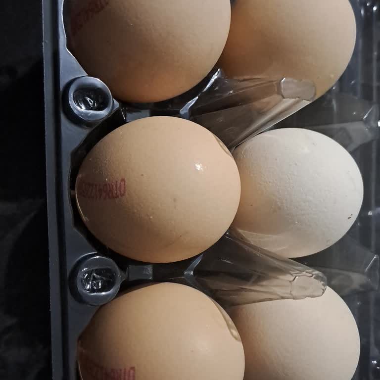 Organik Yumurta Siparişimdeki Tutarsızlık Ve Güven Sorunu