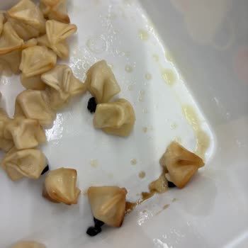 Kemal Öz Gıda Mantı Paketi İçinden Siyah Parçalar Çıktı