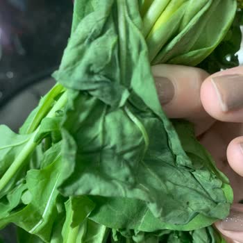 Migros'tan Gelen Sebzelerin Kalitesi Ve İade Sürecinde Yaşanan Sorunlar