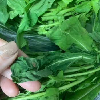 Migros'tan Gelen Sebzelerin Kalitesi Ve İade Sürecinde Yaşanan Sorunlar