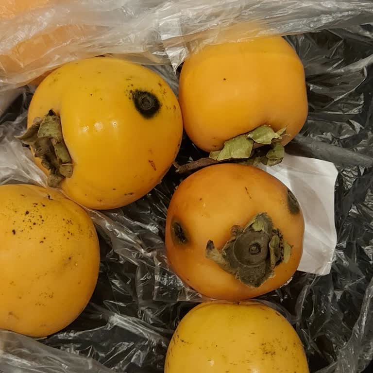 Carrefour SA'dan Sürekli Sorunlu Ürünler