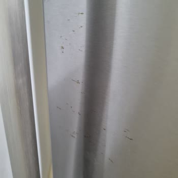 Bosch Buzdolabı Paslanma Sorunu Ve Müşteri Hizmetleri Hayal Kırıklığı