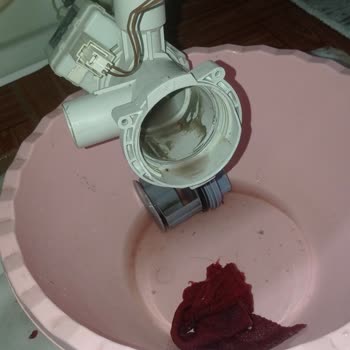 Profilo Çamaşır Makinesi Servis Ücreti Ve Müşteri Hizmetleri Sorunu