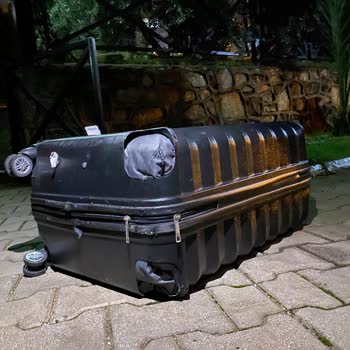 İGA İstanbul Havalimanı Kayıp Bagaj Kabusu: Mağduriyet Üstüne Mağduriyet