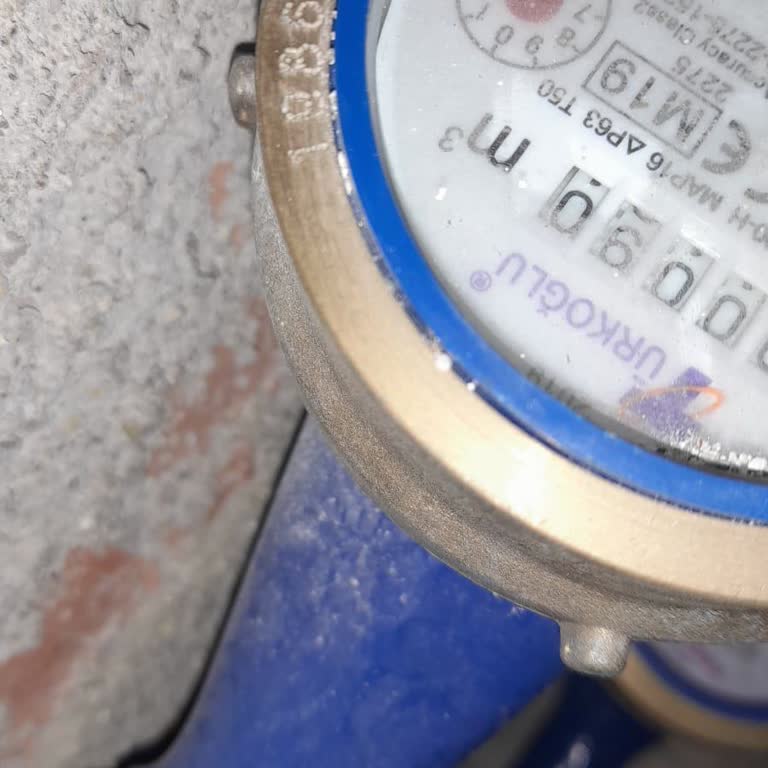 E-Devlet Üzerinden Su Aboneliği İçin Eksik İç Kapı Numarası Sorunu