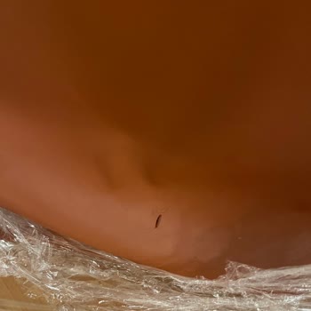 Vakkorama'dan Gelen Hayal Kırıklığı: Defolu Ürün Ve İade Sorunu