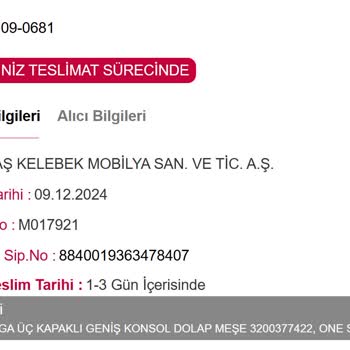 Horoz Lojistik Ve Trendyol'un Kargoda Müşteri Deneyimi Fiyaskosu