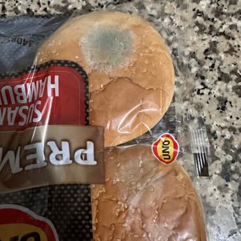 Küflü Hamburger Ekmeği Şoku: Ücret İadesi Talebi