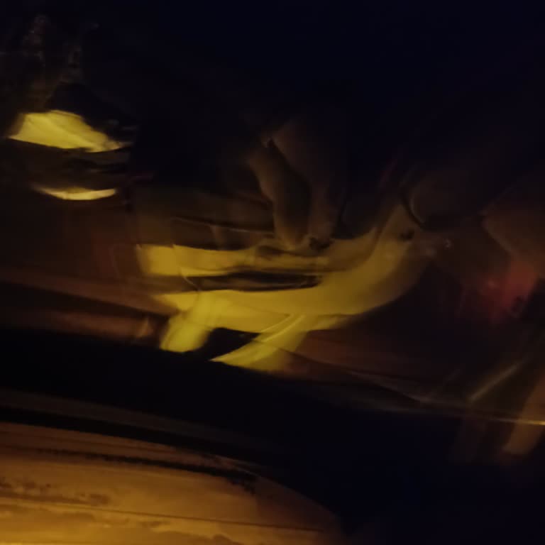 Rahatsız Edici Yolcu Davranışları Ve İlgisiz Hizmet