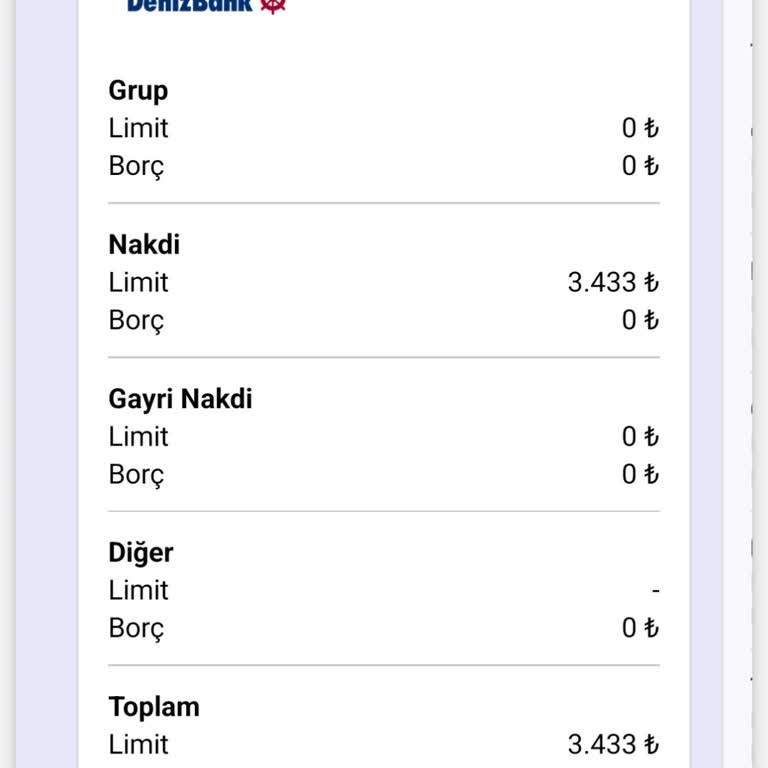 Kredi Risk Raporunda Anlaşılmaz Borç Ve Müşteri Hizmetlerine Ulaşamama
