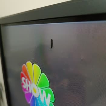 Teknik Hata: TV Ekranında Kelebek Sorunu