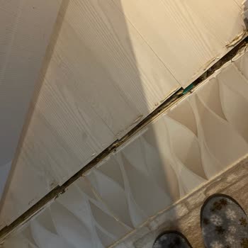 Parke Sorunları Ve İlgisiz Hizmet