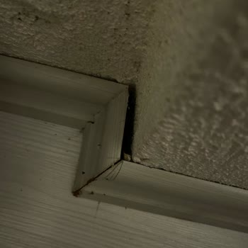 Parke Sorunları Ve İlgisiz Hizmet