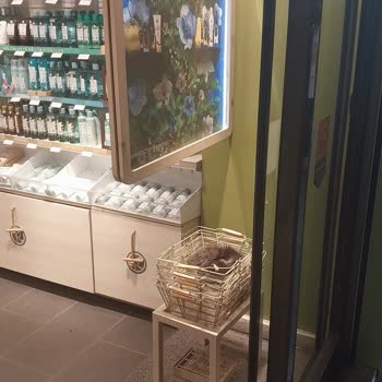 Mağazada Hijyen Sorunu: Sepetlerde Yatan Sokak Kedisi