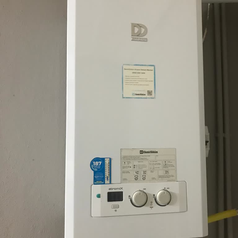 Kış Ortasında Mağduriyet: DemirDöküm Servis Sorunu