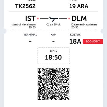 Hamile Yolcuya Yanlış Koltuk Ataması