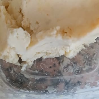 Bosch Buzdolabında Tazelik Sorunu