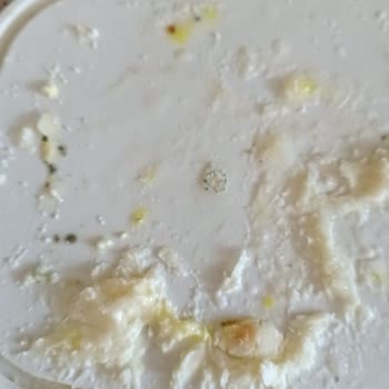 Bosch Buzdolabında Tazelik Sorunu