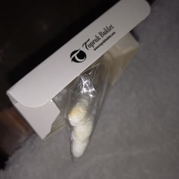 Otelin Çevre Duyarlılığı Ve Hijyen Konusundaki Eksiklikleri